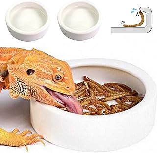 Bol of reptile food, water dish for verses, lizards and gecko, small ceramic for reptiles, bearded dragon, super worm, anti-leak, 2 skihd rooms.. DIAYTAR NIGERIA brings affordable products to every doorstep with our reliable 5-8 day shipping.
