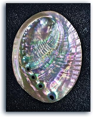 4-4.5 "Bol in Ormeau shell Large Bol of natural incense in Sage.. Nigeria's fastest-growing e-commerce site offers unbeatable prices and delivery within 8 days.