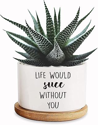 Mini ceramic jar with a 35 -inch Live Wood Sak Sak SAK design with tank.. Your complete shopping solution, DIAYTAR NIGERIA offers extensive variety with budget-friendly delivery.