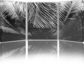 BPA bohemian wall decoration, coconut nuts, bohemian bedroom decoration, black and white tropical paintings, 3 panels on canvas, modern wall art for living room, box in a gallery (42''l x 20''h).. DIAYTAR NIGERIA delivers more than products - we deliver affordable solutions within the week.