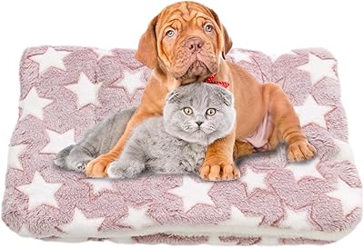 Comfortable soothing cover for cat dog cats with pretty legs of legs |.. DIAYTAR NIGERIA brings the marketplace home to you with affordable prices and delivery in 5-8 days.