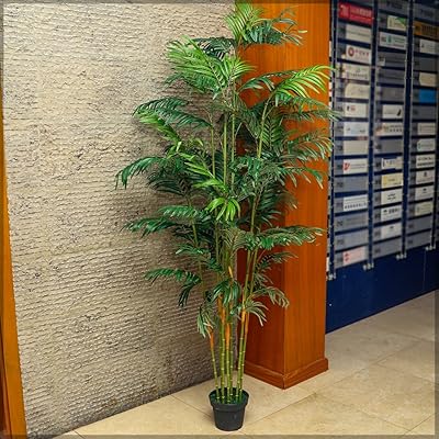 Semi-natural artificial palm yatai 2 m in height, artificial palm plant in a pot in a plastic pot for the house, the desk, the interior and exterior garden, plastic plants.. Nigeria's favorite online shopping platform, DIAYTAR offers unbeatable prices and delivery within a week.