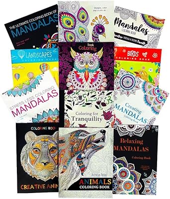 IDEA LIFTOFF - LOT OF 12 Coloring pounds for adults - LOT OF 12 Coloring pounds for adults for women, men with mandalas and more | Bulk advanced coloring books.. DIAYTAR NIGERIA: Where affordability and variety meet with convenient delivery within 8 days.