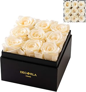 Box of hand-made preserved roses, real durable roses, perfect for Christmas, Valentine's Day, Mother's Day, a birthday and Thanksgiving (9 roses, white)... Experience the future of shopping with DIAYTAR NIGERIA's extensive selection delivered in just 5-8 days.