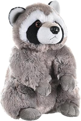 Raton Lateur Wild REPUBLIC toy, children's gifts, 12 inch Cuddlekins.. Your new favorite way to shop online — DIAYTAR Nigeria.