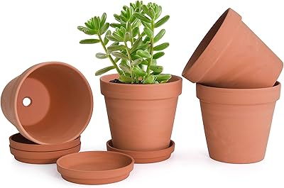 Set of 4 terracotta pots and 6-inch clay plates with tray, 588-56-1.. DIAYTAR NIGERIA promises affordability and variety with every purchase, delivered in 5-8 days.
