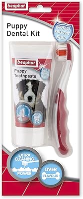 50g puppy dental care kit.. Experience the future of online shopping with DIAYTAR NIGERIA's extensive product range and competitive pricing.