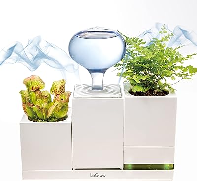 Legrow humidifiers for indoor plants with 4 humidifier USB ports.. DIAYTAR NIGERIA makes quality accessible with low prices and reliable 5-8 day nationwide delivery.