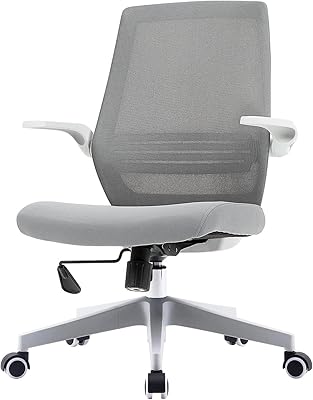 SIHU ergonomic office chair, swivel desk chair with adjustable height with lumbar support and 90 degree foldable armrest (gray), M76 model.. DIAYTAR Nigeria: Where affordability meets speed and quality.