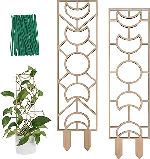 Trellis for climbing plants, small 16 "wooden mesh for pots in pots with humidity resistant film for domestic and ivy vine, moon and geometric pattern.. Shop with confidence at DIAYTAR NIGERIA, enjoying competitive prices and delivery within 8 days.