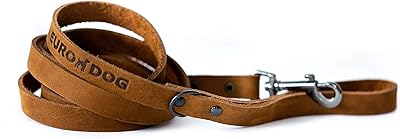 Leave for dogs in soft leather higher than affordable Euro-Dog Sport, made in the United States, green.. DIAYTAR NIGERIA brings the nation's largest product catalog to your doorstep at prices you'll appreciate.
