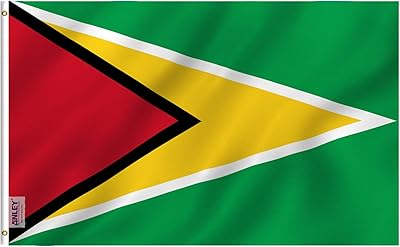 Anley 3x5 Bird Breeze feet, golden arrow point flag - bright colors and UV discoloration - Fabric and double sewing header - Polyester guinea flags with 3x1.5 m brass eyelets.. Save time and money with DIAYTAR Nigeria’s online store.