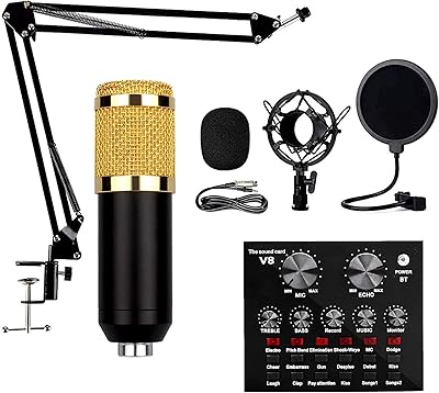 Set of BM-800 professional capacitor microphones, rechargeable V8 sound card with 12 auxiliary funds for podcasting and studio recording, vocal microphones.. Embrace a new era of online shopping with DIAYTAR NIGERIA's extensive range and budget-friendly prices.