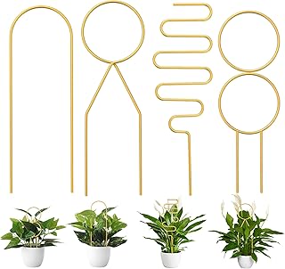 Mini metal mesh for pots in pots, golden trellis for indoor climbing plants, mini jar trellis for pots in pots, trellis for pots in pots, 4 rooms.. Tired of overpriced goods and slow delivery? DIAYTAR Nigeria brings affordability and speed together with a wide selection of products.