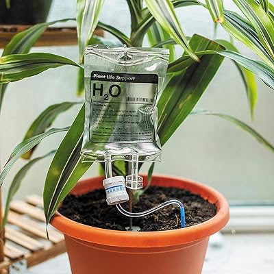 Stuffing Plant Life anti-drop, automatic watering system for indoor plants, watering device, water plants, fun and useful supplies for home, gardening and lifestyle.. DIAYTAR NIGERIA connects you with endless possibilities through our affordable e-commerce platform.