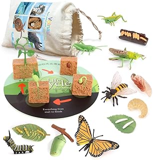 Volno 16 pieces animal figurines life cycle kit, locust, butterfly, chenille, bee for preschool educational decoration of toddlers.. DIAYTAR NIGERIA: Making online shopping accessible with affordable prices and nationwide delivery service.