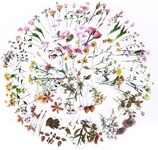 Flower stickers Bettisen stickers for manual work - Package of 3120.. Your complete shopping solution, DIAYTAR NIGERIA offers extensive choice with competitive prices and delivery.