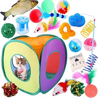 Set of Timmy Pets cat toys - Set of chewing toys for kittens, colored feathers, kittens, puppies, pet supplies (20 pieces).. DIAYTAR NIGERIA: Where every click leads to affordable purchases delivered promptly to your door.