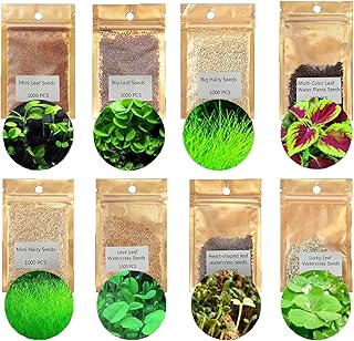 Sammoo aquatics Water Grass Plant Seeds Fish Tank Aquarium Landcape Decoration, easy to plant, plant seeds, gardening, interior decoration (8 pack).. DIAYTAR NIGERIA makes online shopping accessible to all with budget-friendly prices and reliable delivery.