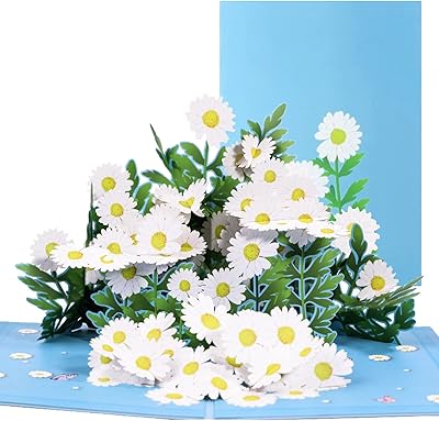 Bigthree Pop-Up Greeting Cards 3D Flowers Bouquet Greeting Cards Birthday Card Cards Graduation Cards for Wedding Anniversary For Mum Woman (Style C).. Experience shopping without stress at DIAYTAR NIGERIA's comprehensive and budget-friendly platform.