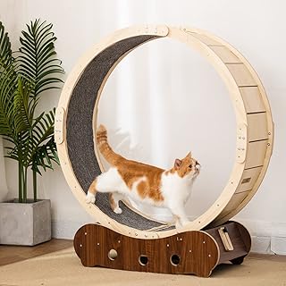 Cat indoor treadmill, cat exercise bike with carpet, large 34 -inch cat exercise for physical form and health, natural solid wood, suitable for most cats.. DIAYTAR NIGERIA: Where online shopping becomes effortless with budget-friendly nationwide delivery.