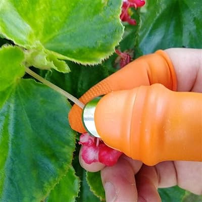 Flyand silicone-silicone-dioigts for vegetable harvesting, plant harvest scissors, cutting rings, garden gloves | DOIGTS protective (color: a).. Great finds. Great prices. Fast shipping. That’s DIAYTAR Nigeria.