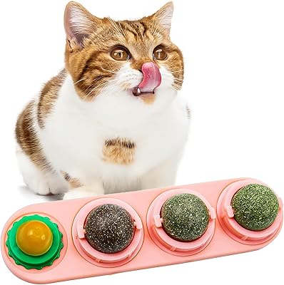 Cat grass balls - Interactive rotating toys 4 in 1 in the shape of pure and natural mint leaves for cats - edible snack balls - to clean the cat teeth.. Discover endless shopping possibilities at DIAYTAR NIGERIA, with budget-friendly prices and reliable delivery.
