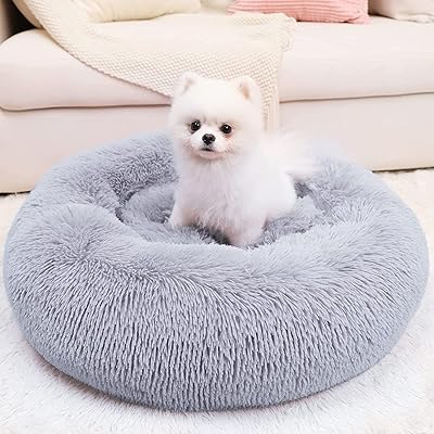 Cushion cushion for chat and dog, bed for 20 -inch pets for cats or small dogs, non -slip and water resistant background, pet supplies in super soft durable fabric, luxury bed for cats and machine washable in machine (gray).. DIAYTAR NIGERIA makes online shopping accessible with our comprehensive platform and prompt delivery service.