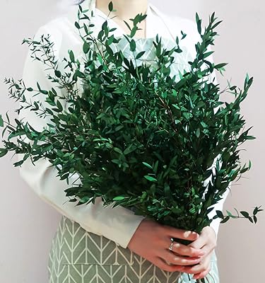 More than 20 branches of dried eucalyptus and kept green 17 ".. Discover why thousands choose DIAYTAR NIGERIA for affordable products delivered in less than a week.