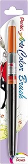 Orange Pentel artistic brush.. DIAYTAR NIGERIA brings the market to your fingertips with affordable prices and swift delivery services.