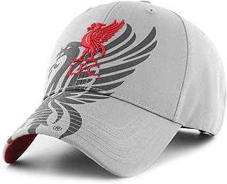 Brand adjustable hat 47 MVP - Liverbird FC Liverpool gray, gray, one size.. Your comprehensive marketplace awaits at DIAYTAR NIGERIA with affordable prices and reliable delivery times.