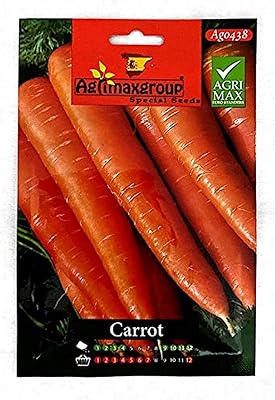 Carrot seeds (made in Spain) from the Agrimax® group.. DIAYTAR NIGERIA connects you with thousands of products at competitive prices, delivered within a week.