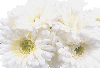 Kraftmore white marguerites with 14 "yellow nuclei" Set of 12.. DIAYTAR NIGERIA: Revolutionizing how Nigerians shop with affordable prices and prompt delivery services.