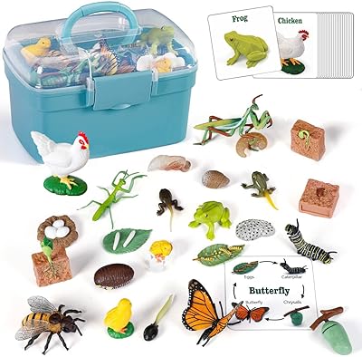 Learning and learning toys of life cycle, 25 pieces of animal figurines frog, butterfly, chicken, horse, bee and plant - Montessori toys for preschool toddlers of 3 4 5 6 7 8 years and over.. DIAYTAR NIGERIA brings the marketplace home to you with affordable prices and delivery in 5-8 days.