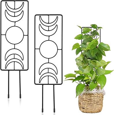 Trellis for plants 2 rooms metal metal supports.. Shop smart, shop DIAYTAR - Nigeria's most affordable e-commerce platform with nationwide delivery.
