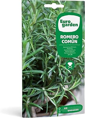 High quality European garden rosemary (Rozero Common) made in Spain.. Discover why millions choose DIAYTAR for affordable online shopping with delivery in just 5-8 days.