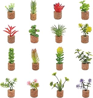 16 mini pieces mini artificial plants Netics refrigerator grids Small false sets of succulent plant pots for home office kate allen decor decor.. DIAYTAR Nigeria: Discover more, spend less, and enjoy delivery within 5–8 days.