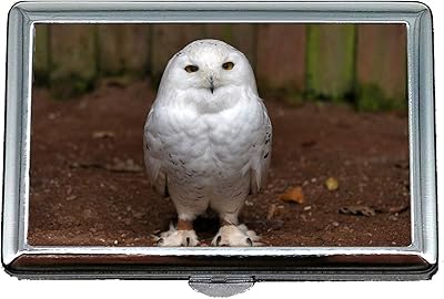 Cigarette door, English owl, burgundy bird, visit card holders, stainless steel business card case.. DIAYTAR NIGERIA combines extensive product options with budget-friendly prices, delivered in 5-8 days.