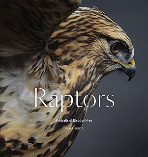 Raptors: portraits of prey birds.. Experience the joy of discovery with DIAYTAR NIGERIA's vast catalog and nationwide affordable delivery.