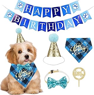 Birthday bandana for dogs party supplies for 1st anniversary.. Elevate your shopping experience with DIAYTAR NIGERIA's vast catalog and budget-friendly options.