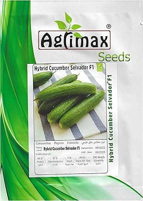 High quality Salvador F1 hybrid cucumber seeds made in Spain.. DIAYTAR NIGERIA delivers on convenience and affordability with our reliable nationwide shipping.