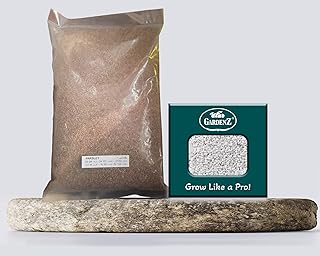Agricultural parsley seeds 1 kg + Perlite box (10 L).. DIAYTAR NIGERIA connects you with thousands of products at competitive prices, delivered within a week.