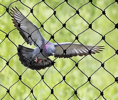 Bird-X ultra-resistant anti-bird net, ideal for intensive applications, 25 "x 63.5".. Need something fast? Order it now from DIAYTAR Nigeria.