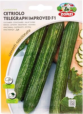 AKDC light yellow cucumber seeds.. DIAYTAR Nigeria: Where affordability meets fast and reliable e-commerce service.