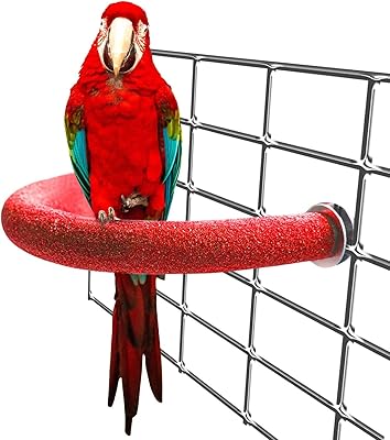 Cleaning rod for birds and obanal parrots, shingling stick of the claws, standing rod in the shape of a U, sanding rod for small and medium -sized birds.. DIAYTAR NIGERIA: Where every shopping need is met with affordable prices and timely delivery.