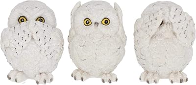 Figurine nemesis now wise owl de three ways, 8 cm, blanc.. Nigeria's most loved e-commerce platform delivers affordable shopping solutions to your doorstep.