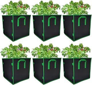 Bags of cultivation of reusable breathable and not woven gluckluz of 10 gallons with handles for potatoes, vegetables and interior and outdoor flowers (pack of 6, green).. Experience the convenience of boundless shopping with DIAYTAR NIGERIA's vast selection and quick delivery.