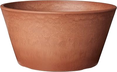 Elegant Arcadia Garden Products BSW TD25C, 10 x 5 inches.. Make shopping fun and stress-free with DIAYTAR Nigeria.