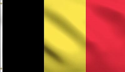 DMSE Flag Kingdom of Belgium Black Yellow Red 3x5 feet 100% Polyester 100d UV resistant flag (3'x5 'foot).. Your digital shopping destination, DIAYTAR NIGERIA combines variety with affordability and quick delivery.