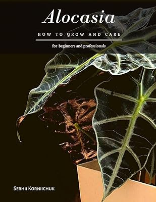 Alocasia: how to cultivate and maintain.. Why shop anywhere else? DIAYTAR Nigeria has it all and delivers fast.